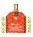 Lora BEE1.jpg