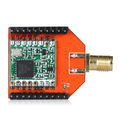 Lora BEE2.jpg