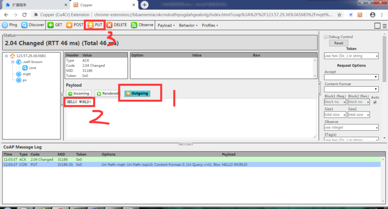 File:CoAP Test 10.png