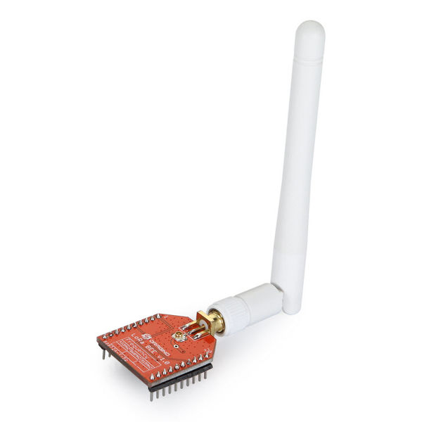 File:Lora BEE.jpg
